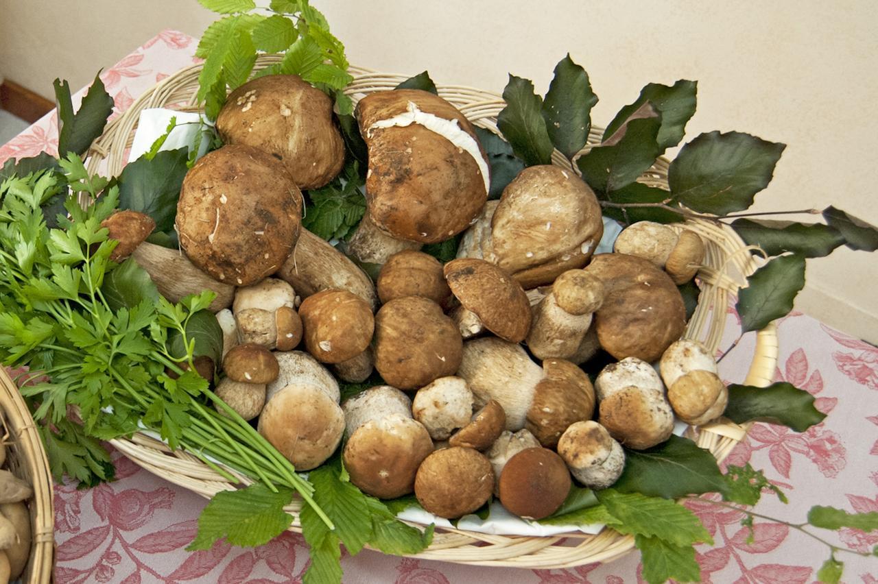 Locanda Solagna Quero المظهر الخارجي الصورة
